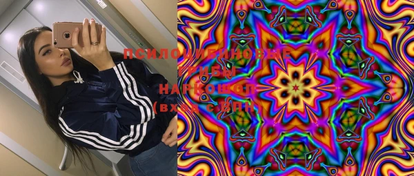 ешки Медногорск