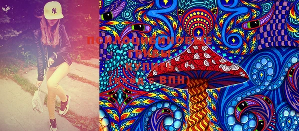 ешки Медногорск