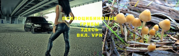 ешки Медногорск