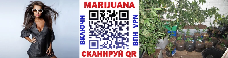 Марихуана индика  Купить закладки  Екатеринбург